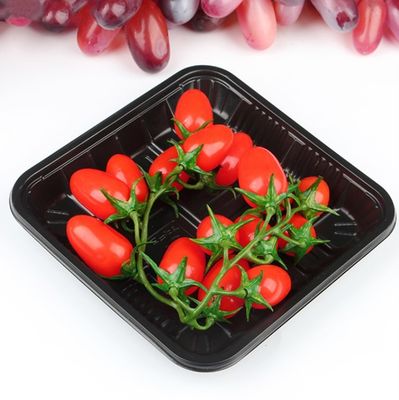 China Taza y máquina de fabricación de placas plásticas disponibles con buen precio proveedor
